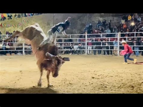 Toro LA FIFA De Rancho LA GUARDIA Los Toros De Acero En San Pablo Guila