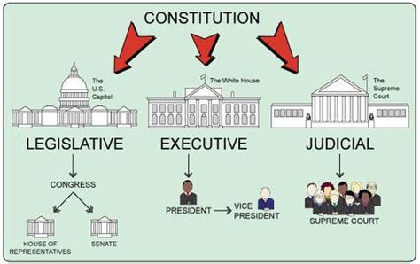 Three Branches Of Government Tree Worksheet