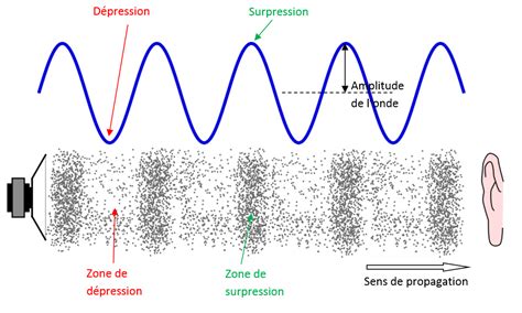 4 Chap S4 La fréquence et lamplitude des sons Tube à Essai site