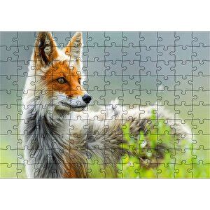 Cakapuzzle Cakapuzzle Kızıl Tilki Görseli Puzzle Yapboz Mdf Ahşap Puzzle