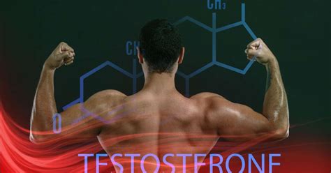 Como Aumentar A Testosterona Naturalmente Nutricionista Revela Dicas