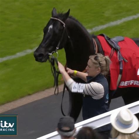 ITV Racing On Twitter Excitement Levels For The Derby