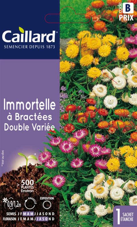 Immortelle À Bractée Double Variée GRAINES Gamm vert