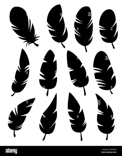 Feather Shapes Black And White Stock Photos And Images Alamy