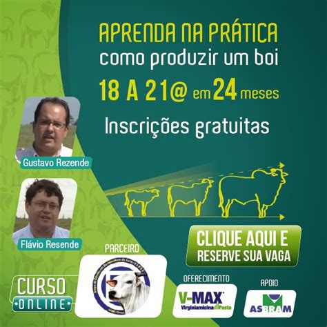 Grupo De Estudos Em Bovinocultura De Corte Gebov Ufmt