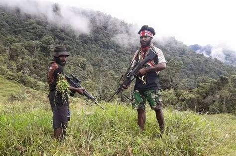 Kau Adalah Anak Kecil Yang Baru Tumbuh Nasib Kkb Papua Di Ujung