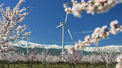 Iberdrola Presenta Su Plan De Descarbonización Ante Las Naciones Unidas