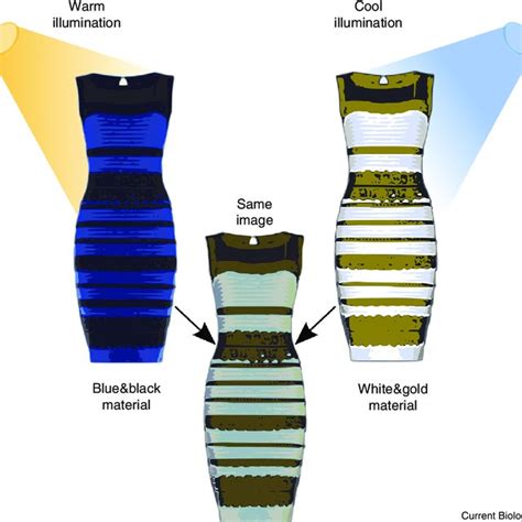 Dress Illusion Explained Dresses Images 2022