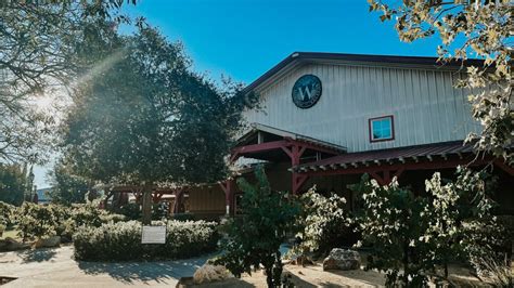 Best Wineries in Temecula: A Place for Every Wine Lover - WWP