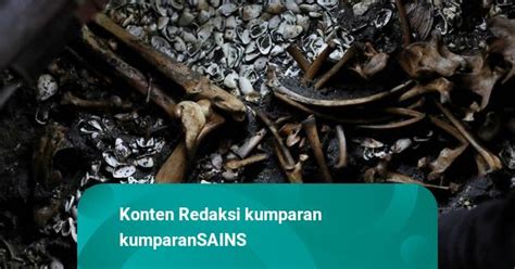 Foto Penemuan Sisa Sisa Persembahan Ritual Suku Aztec Di Meksiko