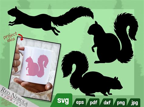 Squirrel SVG Clipart Set 3 Svg Png Dxf Eps Jpg Pdf for Wall Decor ...