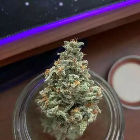 Sour Crack Strain Info Sour Crack Weed By Mephisto Genetics Growdiaries