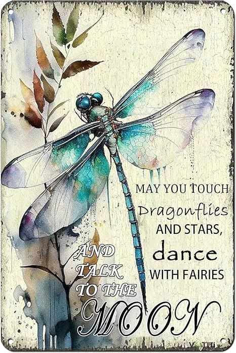 Amazon Vothi Funny Vintage Dragonfly Sign May You Touch