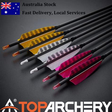 Archery Carbon Arrows Sp Turkey Feather For Compound Recurve Bow