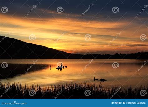 Nascer Do Sol No Lago Locust Foto De Stock Imagem De Ling Etas Calma