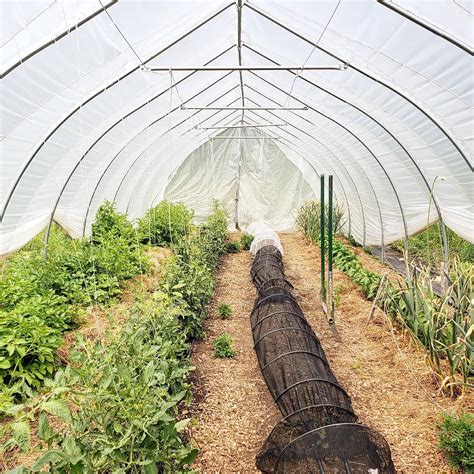 Homestead Workshops — Maple Mountain Homestead