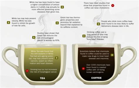 Health benefits of coffee vs tea [infographic] | The Java Jive