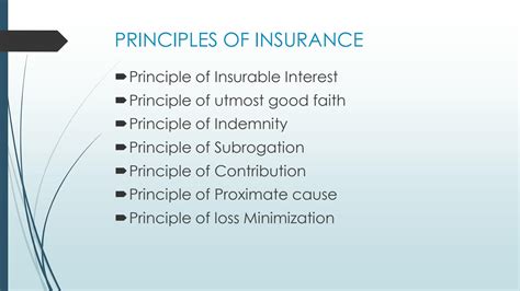 Solution Principles Of Insurance Studypool