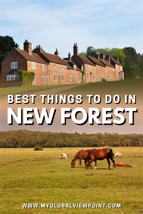 12 Best Things To Do In The New Forest Top Attractions To Visit