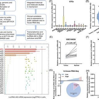 LncRNA422 Expression Is Downregulated In Colorectal Cancer A