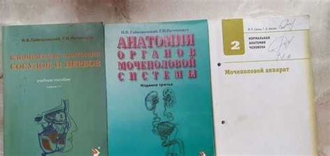 Методички по анатомии Гайворонский | Festima.Ru - Мониторинг объявлений