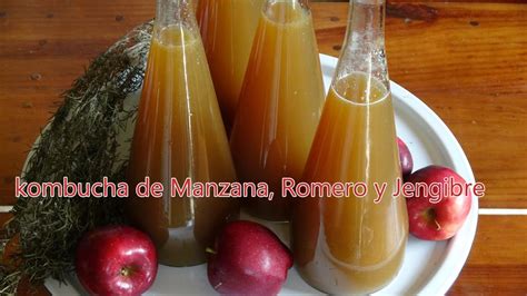 Kombucha De Manzana Jengibre Y Romero Beneficios De Probioticos