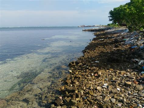 年 月No Bikini Beach景点攻略 No Bikini Beach门票预订 地址 图片 No Bikini Beach景点点评 猫途鹰