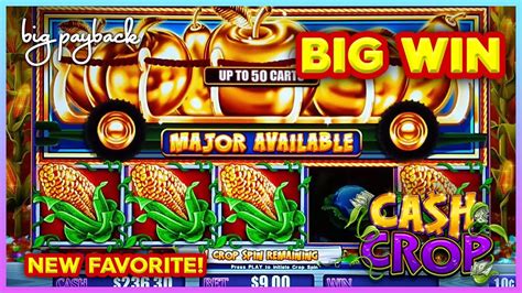 NEW LOCK IT LINK Cash Crop Slot LOVE THIS ONE YouTube