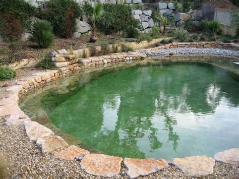 Best Trending Natural Swimming Pool With Natural Fresh Cleanwater