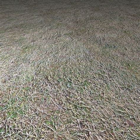 Seamless Frosty Grass Texture Grass Textures Patchy Grass Grass