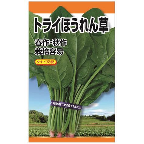 ニチノウのタネ タキイ交配 トライほうれん草 日本農産種苗 4960599120700 1セット（5袋入）（直送品） アスクル