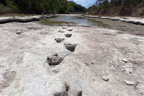 Sequía extrema deja al descubierto huellas de dinosaurios en un parque