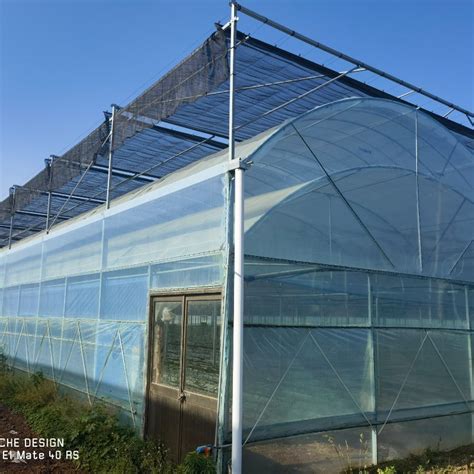 Arch Tunnel Type Multi Span Pe Po Plastic Film Greenhouse For