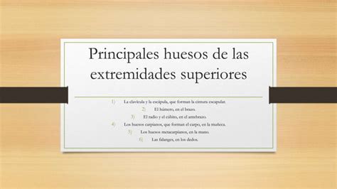 Principales Huesos De Las Extremidades Superiores Ppt