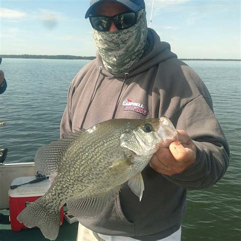 Santee Cooper Lake Marion And Lake Moultrie Fishing Report Anglers