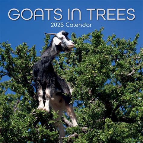 Goats in Trees 2025 Wall Calendar - Calendars.com