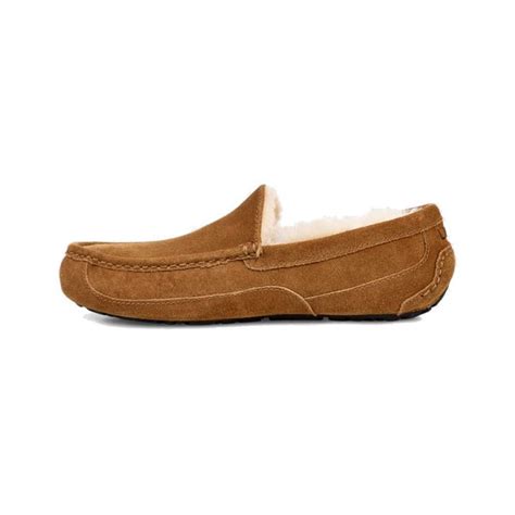 Ugg Mens Ascot Slipper Chestnut Boarders