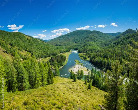 Taiga Landscape