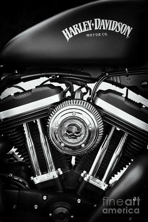 Harley Davidson Logo Hd Wallpapers For Mobile Infoupdate Org