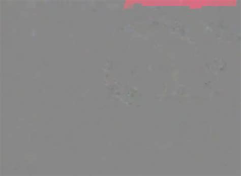 Cam Girl Anal Speculum By M D F