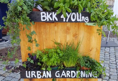 Urban Gardening Bkk Faber Castell Partner