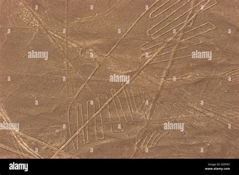 Las líneas de Nazca Perú turismo lugar turístico vista aérea colibrí