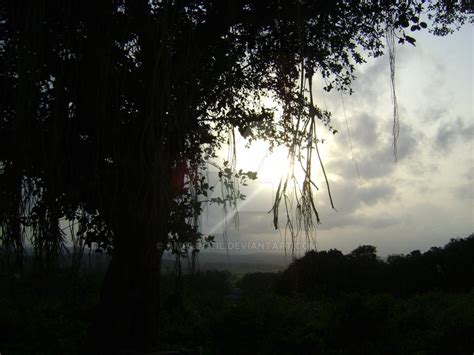 Banyan Tree Silhouette by AmolPatil on DeviantArt