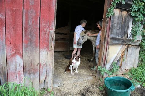 Mary Kellogg Mary Kellogg New Bedlam Farm Bedlam Farm