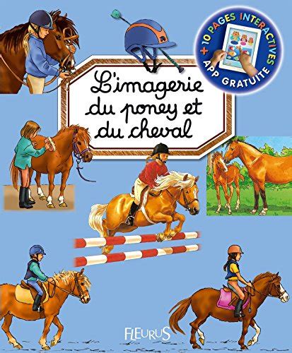 L Imagerie Du Poney Et Du Cheval Interactive Les Imageries