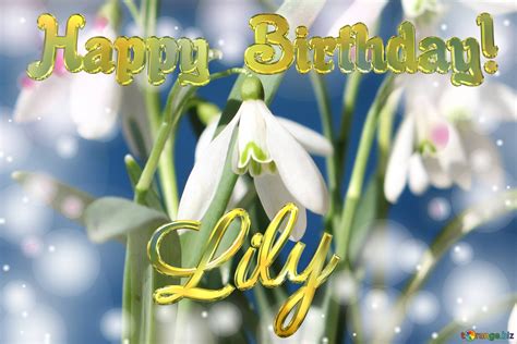 Happy Birthday Lily Spring Flowers Free Image 2715