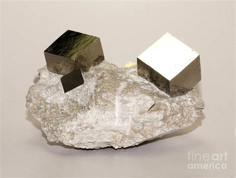 Iron Pyrite Cubic Crystals In Matrix Photograph By Scott Camazine Pixels