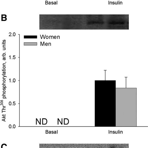 Akt Protein Expression And Akt Thr 308 And Ser 473 Phosphorylation In Download Scientific