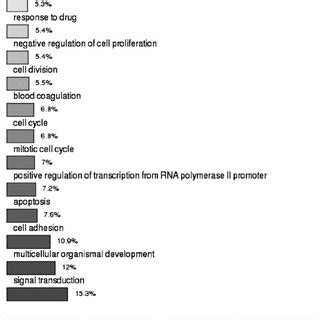 Kegg Pathway Analysis Of The Mrnas Identified To Be Aberrantly