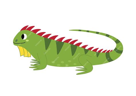 Premium Vector Cute Iguana In Cartoon Style Wild Green Lizard